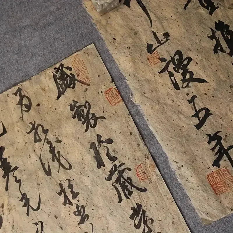 Two sheets of aged, textured Pirate paper with black calligraphy and red seals.