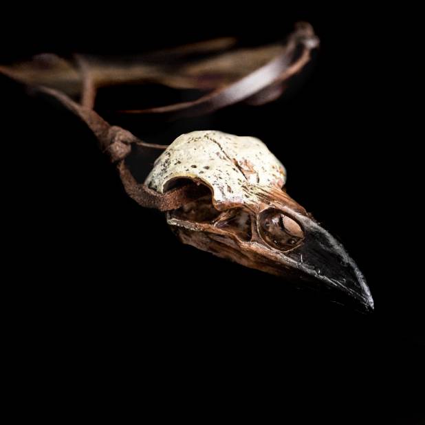 Close-up of aged paint detail on raven skull pendant